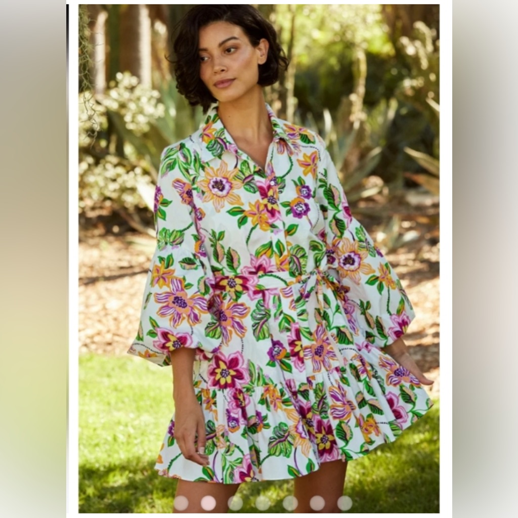 Misa Los Angeles Floral Mini Dress - Multicolor
